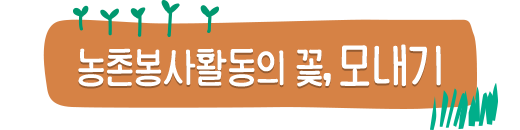 ���̺���Ȱ���� ��, �𳻱�