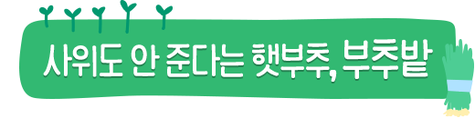 ������ �� �شٴ� �޺���, ���߹�