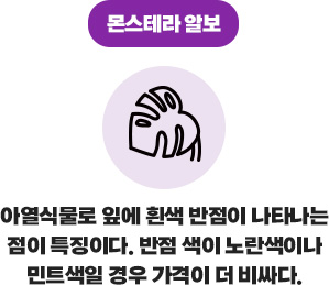 ¸ó½ºÅ×¶ó ¾Ëº¸