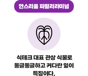 ¾È½º¸®¿ò ÆÄÇʸ®¶ó¹Ì³Ñ